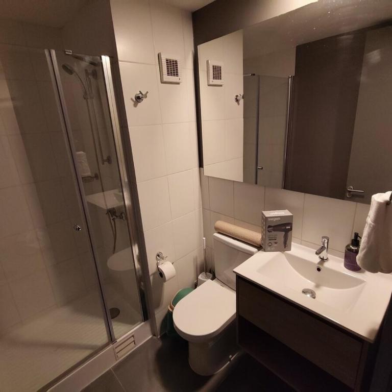 Nuevo Departmento muy cerca del Santander Arena, Parque Ohiggins, club Hipico, con estacionamiento gratis, para 2 D505 - One-Bedroom Apartment - 41