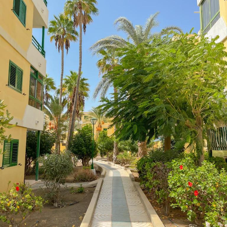 Complejo Las Olas - Maison de Vacances - 39