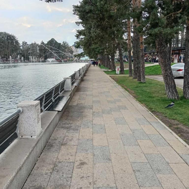 Apartmani Popović - Appartement 1 Chambre - 20