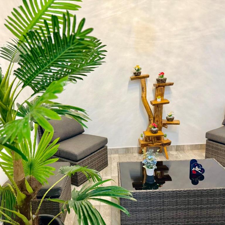 Casa Lienzo - Three-Bedroom Apartment - 13