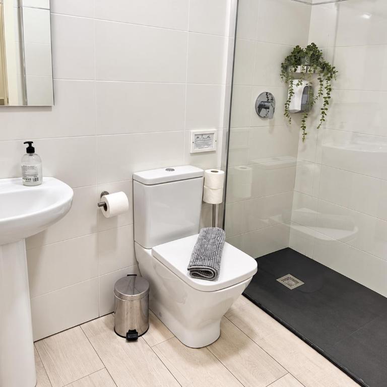 Apartamentos Logroño Centro - Deluxe Apartment mit 2 Schlafzimmern - 12