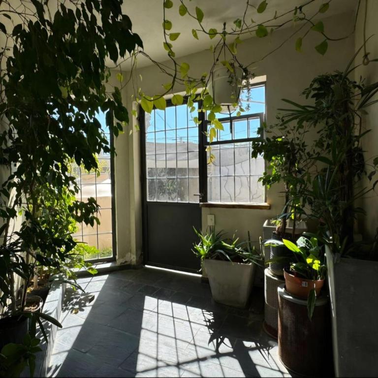 Hermoso depto Rincon de Emilio, nqn capital - Apartamento de 1 dormitorio - 11