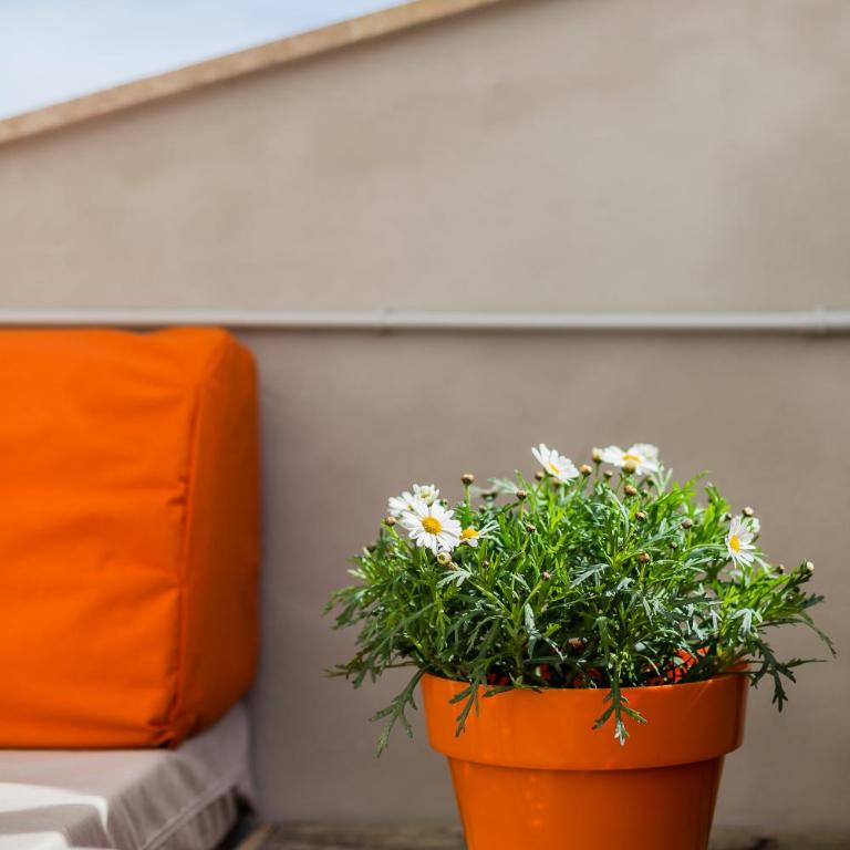 Ca Sa Padrina by LOCALITE - Two-Bedroom House - 27