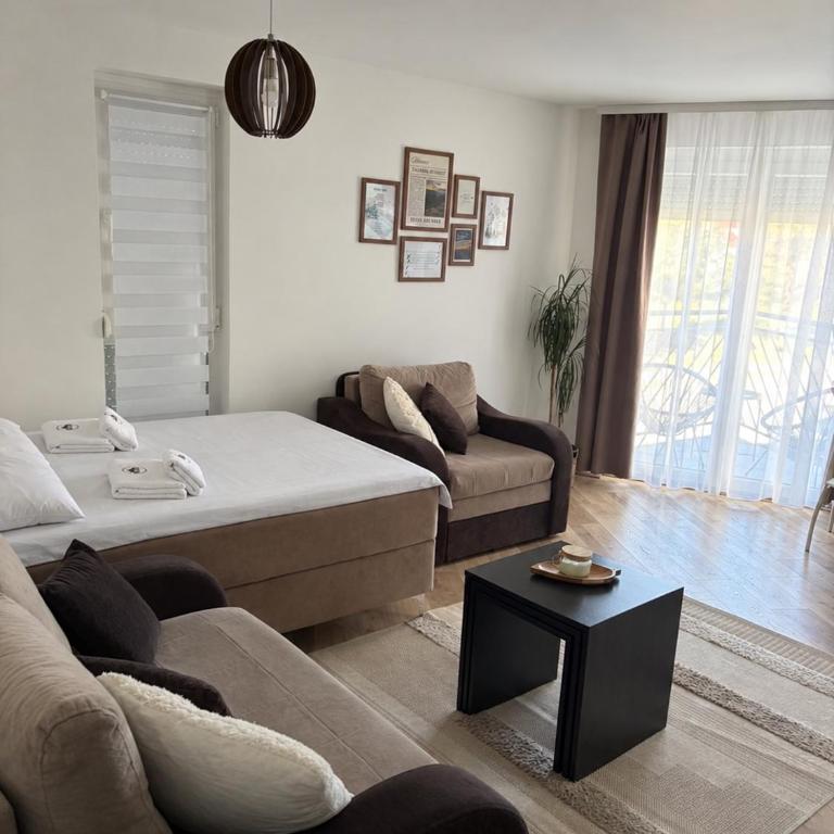 Studio apartman Verte - Studio sa Balkonom - 1