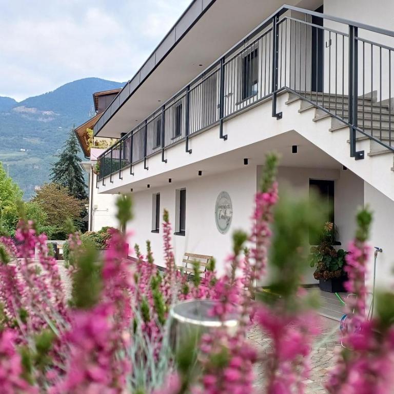 Bike Apartments Curti - Himmelblau - Apartamento de 1 dormitorio con vistas al jardín - 1