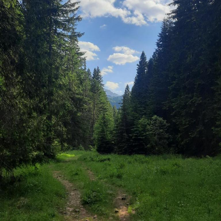 Durmitorsko oko - Vila - 8