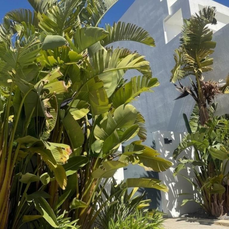Casa Celestella - Villa con vistas al mar - 16