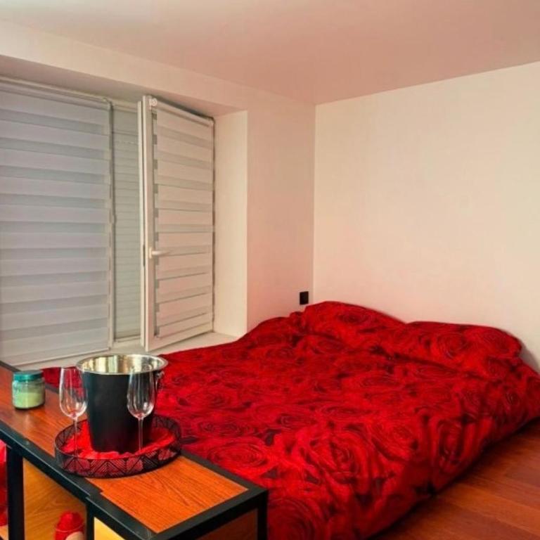 Nuit tranquille - Appartement 1 Chambre - 2