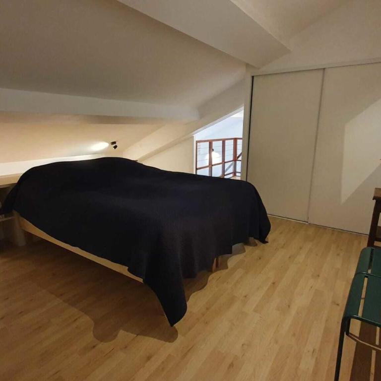 Duplex avec balcon au pied du Tramway République - Appartement - 4