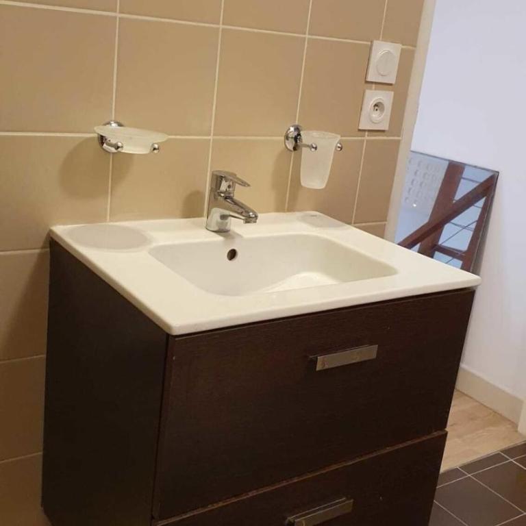 Duplex avec balcon au pied du Tramway République - Appartement - 7