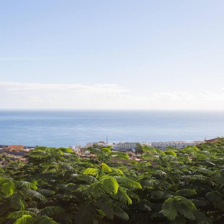Casa canaria con piscina y bonitas vistas - Casa de 4 dormitorios - 11