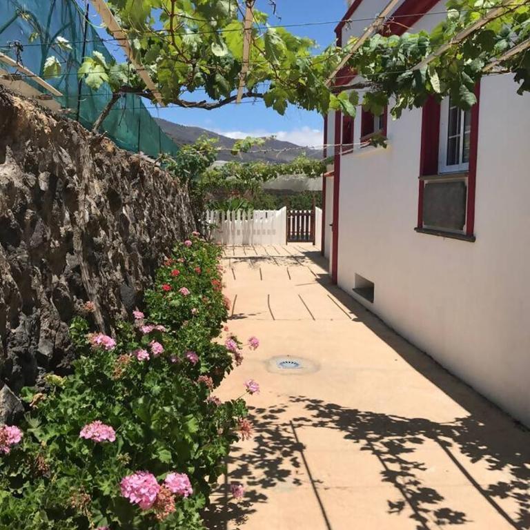Casa canaria con piscina y bonitas vistas - Casa de 4 dormitorios - 33