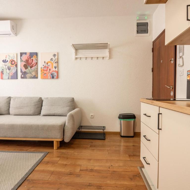 Zabljak Hills City Center - Apartman sa 1 Spavaćom Sobom - 13