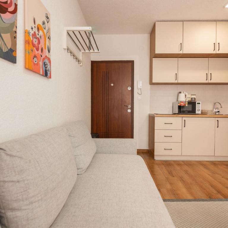 Zabljak Hills City Center - Apartman sa 1 Spavaćom Sobom - 11