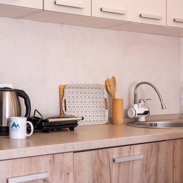 Zabljak Hills City Center - Apartman sa 2 Spavaće Sobe - 8
