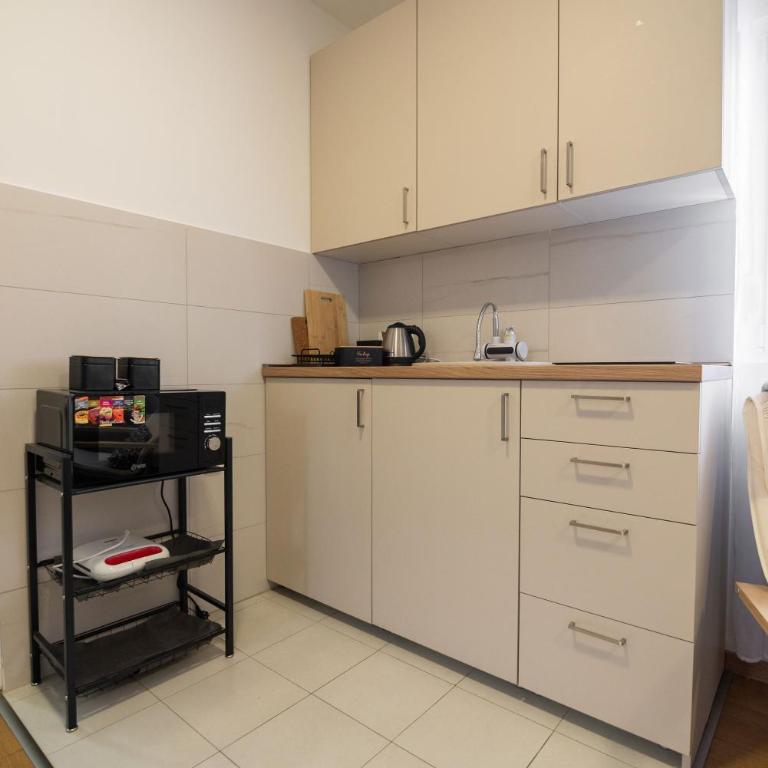 Zabljak Hills City Center - Apartman sa 1 Spavaćom Sobom - 9