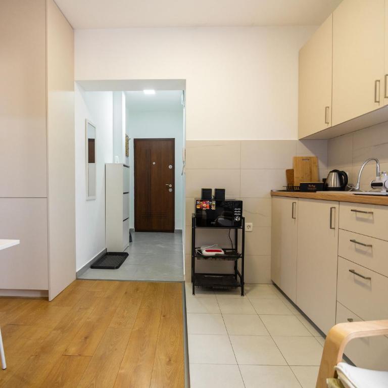 Zabljak Hills City Center - Apartman sa 1 Spavaćom Sobom - 16