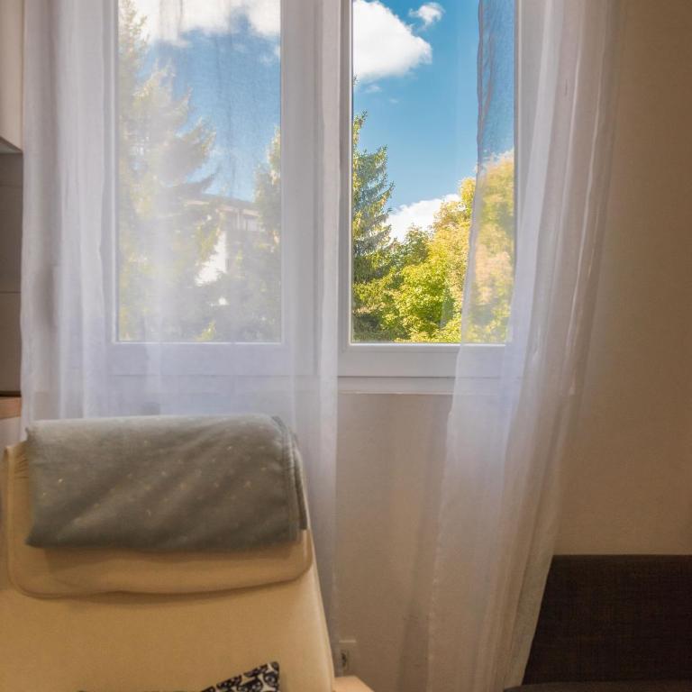 Zabljak Hills City Center - Apartman sa 1 Spavaćom Sobom - 13