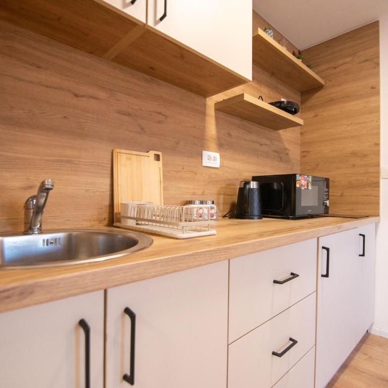 Zabljak Hills City Center - Apartman sa 1 Spavaćom Sobom - Potkrovlje - 21
