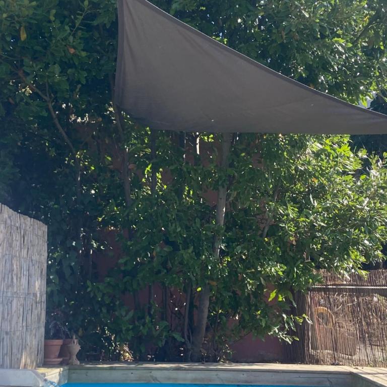 Eco Finca Vista Mar y Teide mit tropischem Garten - Appartamento con 2 Camere da Letto - 22