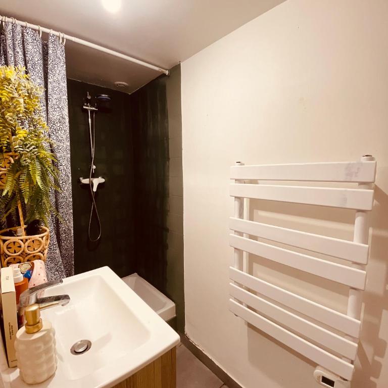 Charmant 2 pièces au Panier - Appartement 1 Chambre - 8