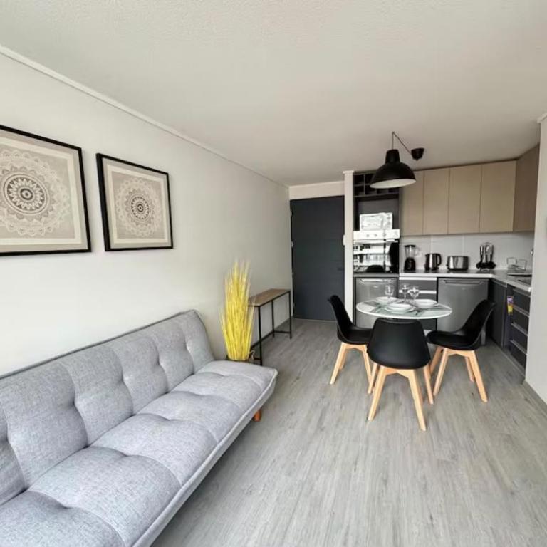 Pajarito Centro 2 - Apartamento de 1 dormitorio - 4