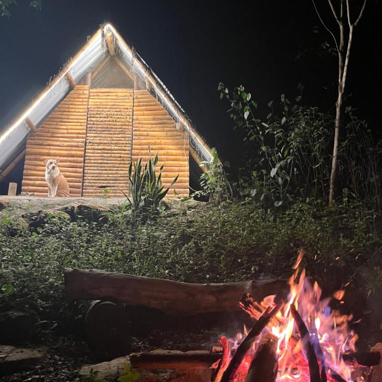 Glamping girardot- finca la perla - Double Room with Shared Bathroom - 1
