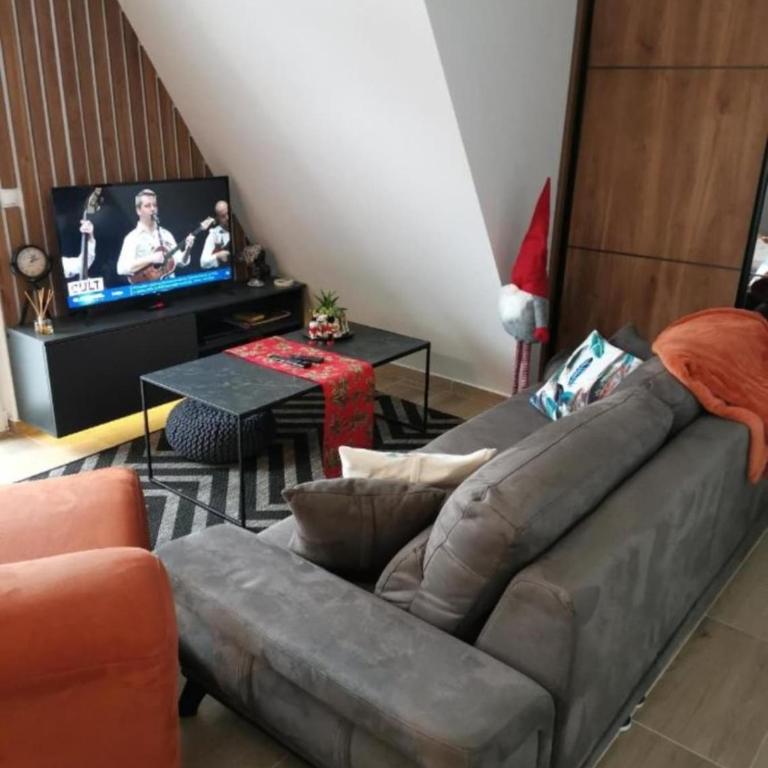 Apartman Nataša - Apartman sa 1 Spavaćom Sobom - 1