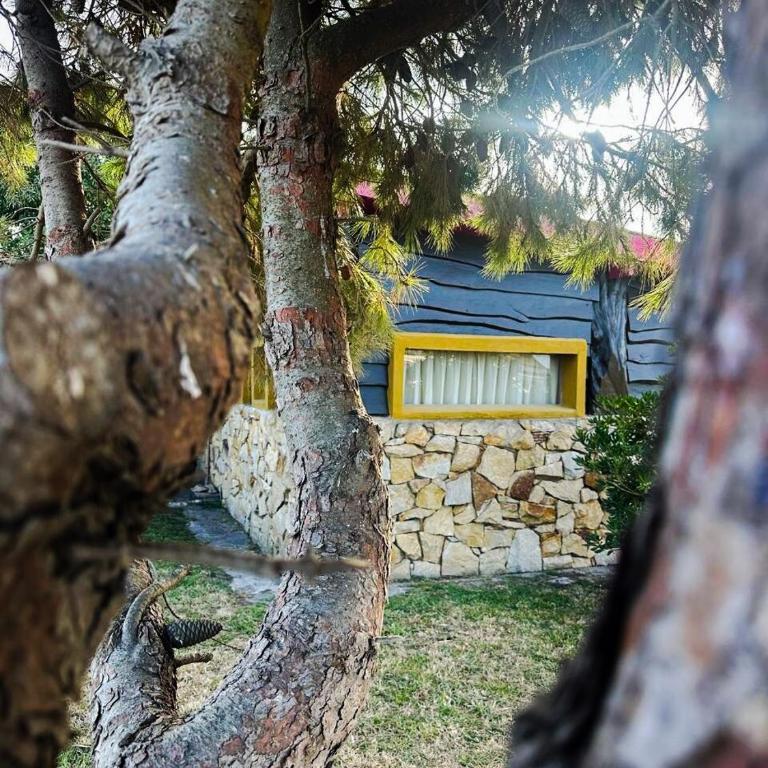 Cabaña La Lechuza Chapadmalal - Casa con 1 dormitorio - 15