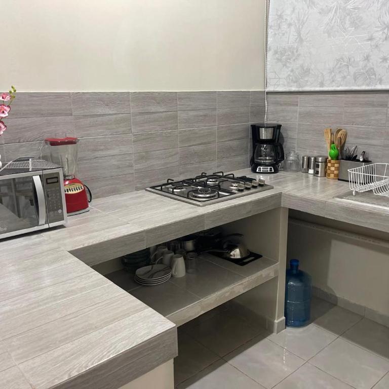 Depa Manglito 1 - Apartamento - Planta baja - 16