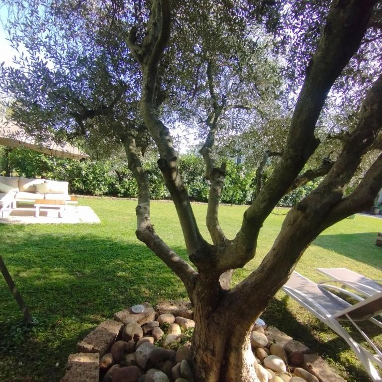 Appartamento RESIDENZA LA CORTE Verona a 10 minuti di auto dall'Arena- piano terra con terrazza esclusiva, giardino, piscina e comodo posto auto - Appartamento con 2 Camere da Letto - 35
