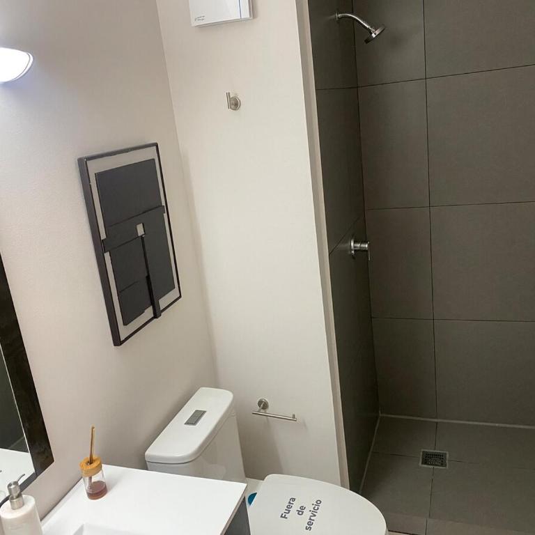 Loft en Paseo Santa Lucia y Parque Fundidora - Apartamento de 1 dormitorio - 4