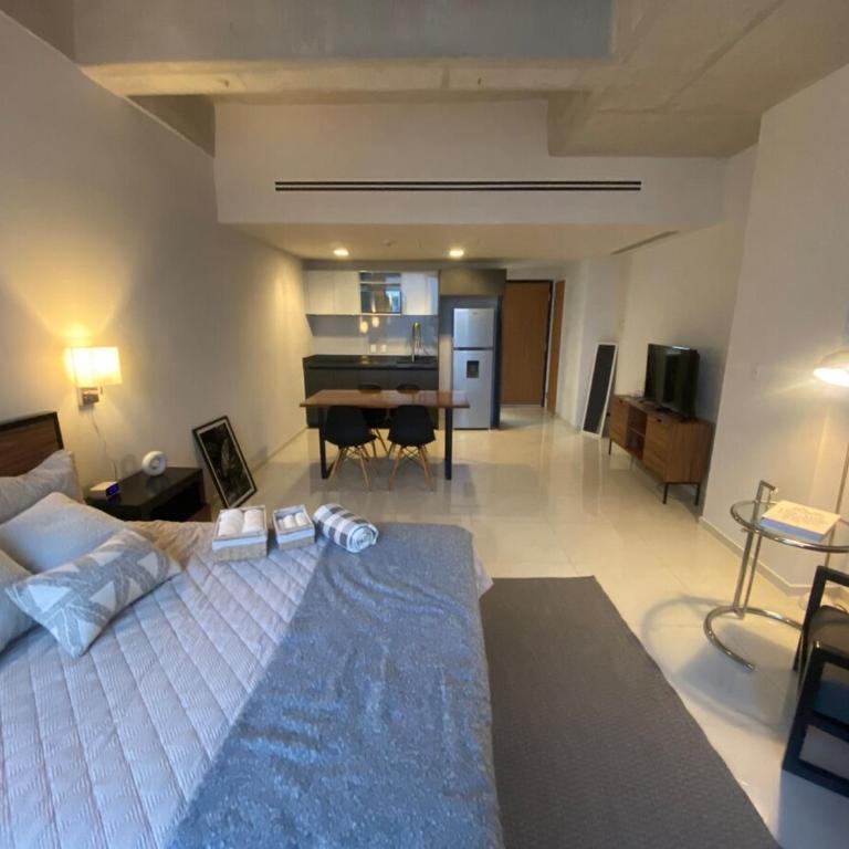 Loft en Paseo Santa Lucia y Parque Fundidora - Apartamento de 1 dormitorio - 8