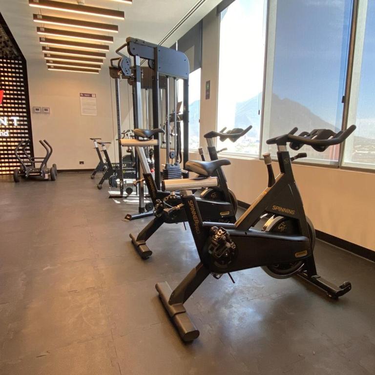 Loft en Paseo Santa Lucia y Parque Fundidora - Apartamento de 1 dormitorio - 29
