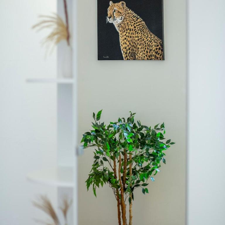 Aurea Living - Vatican Premium Suite 5 mins to the Vatican Museums - Appartamento con 1 Camera da Letto - 9