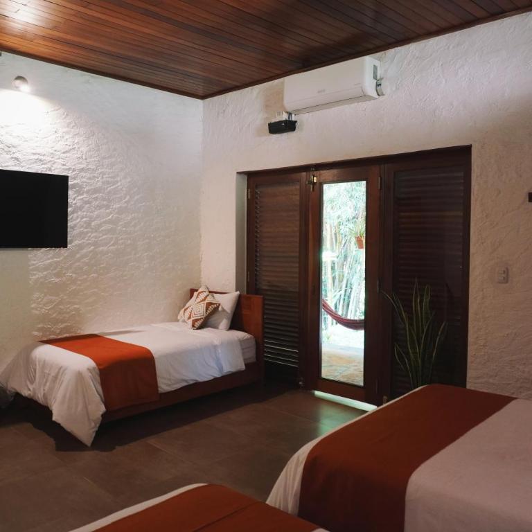 Apu Samay Nature Lodge - Habitación Triple con terraza - 3