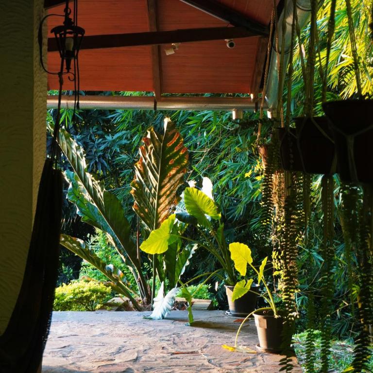 Apu Samay Nature Lodge - Habitación Triple con terraza - 5