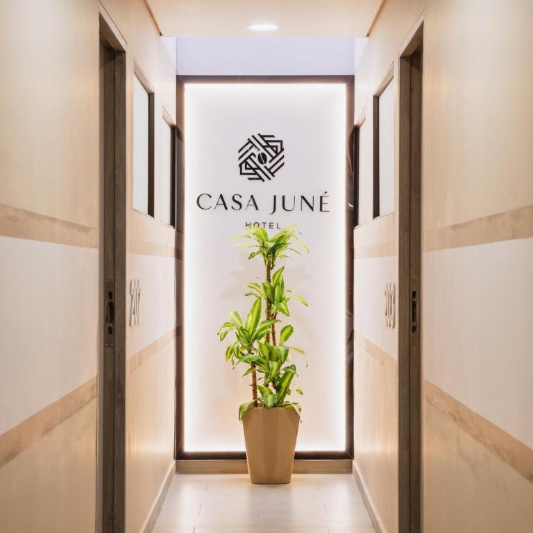 Near Circunvalar Casa June Pereira 303 - One-Bedroom Apartment - 7