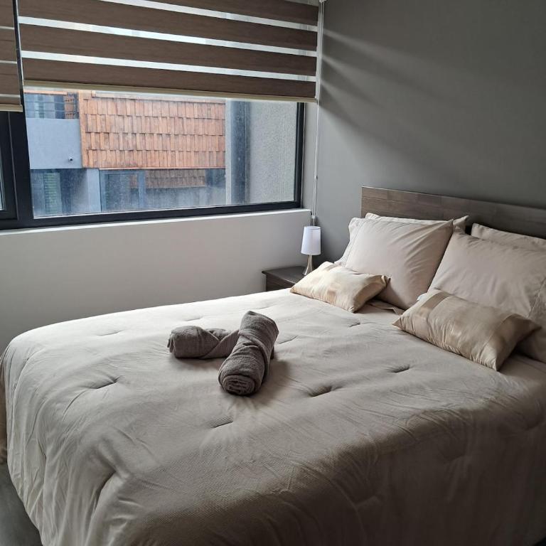 Moderno departamento Nuevo equipado en Puerto Varas - Two-Bedroom Apartment - 5