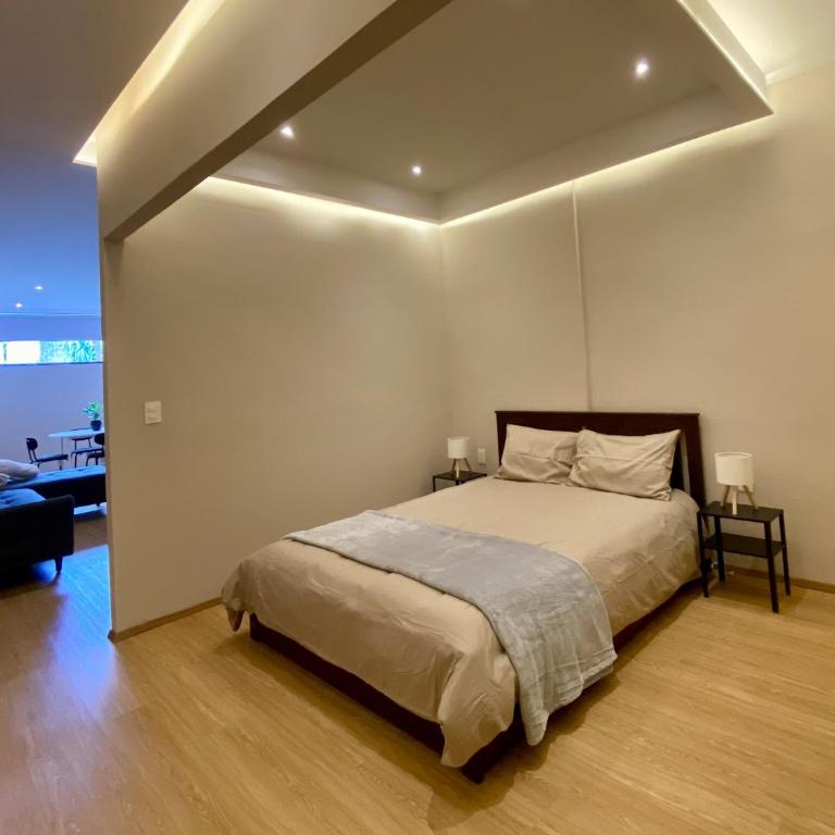 Modern Apartment in Miguel Hidalgo with Balcony - Großes Doppelzimmer - 10