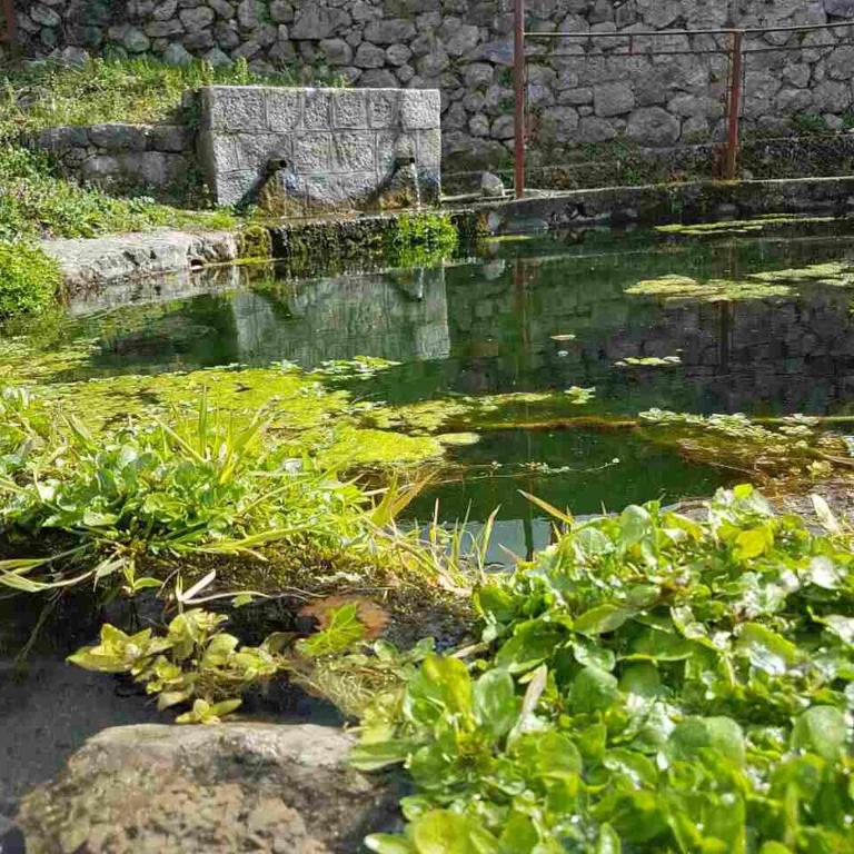 Apartman Nikocevic - Kuća sa 1 Spavaćom Sobom - 45