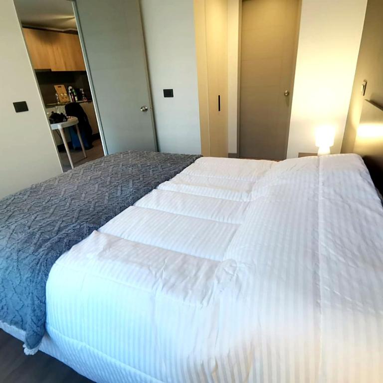Metro Santa Ana Centro Patrimonial - One-Bedroom Apartment - 1