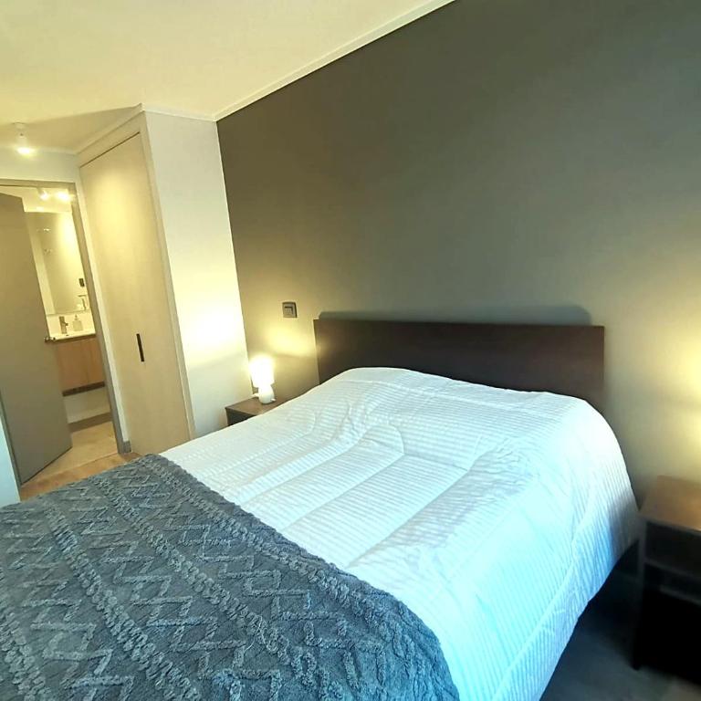 Metro Santa Ana Centro Patrimonial - One-Bedroom Apartment - 21
