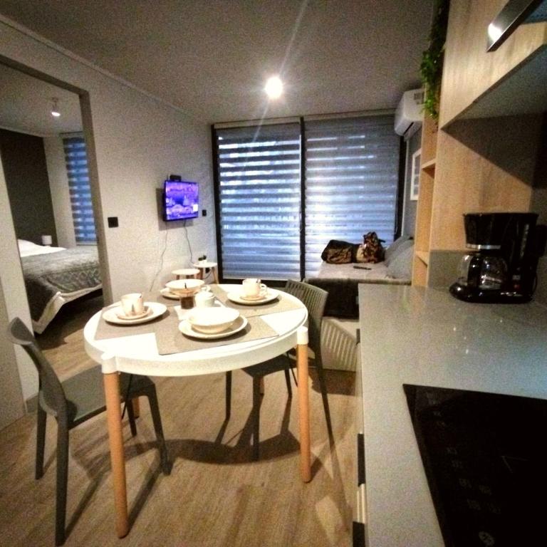 Metro Santa Ana Centro Patrimonial - One-Bedroom Apartment - 25
