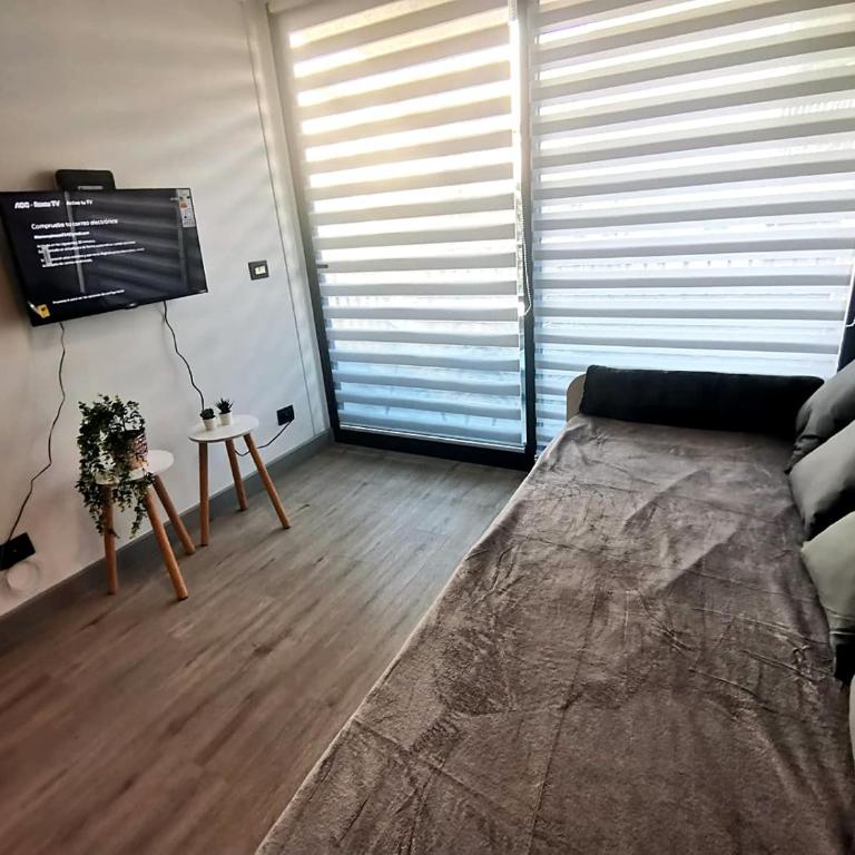 Metro Santa Ana Centro Patrimonial - One-Bedroom Apartment - 35