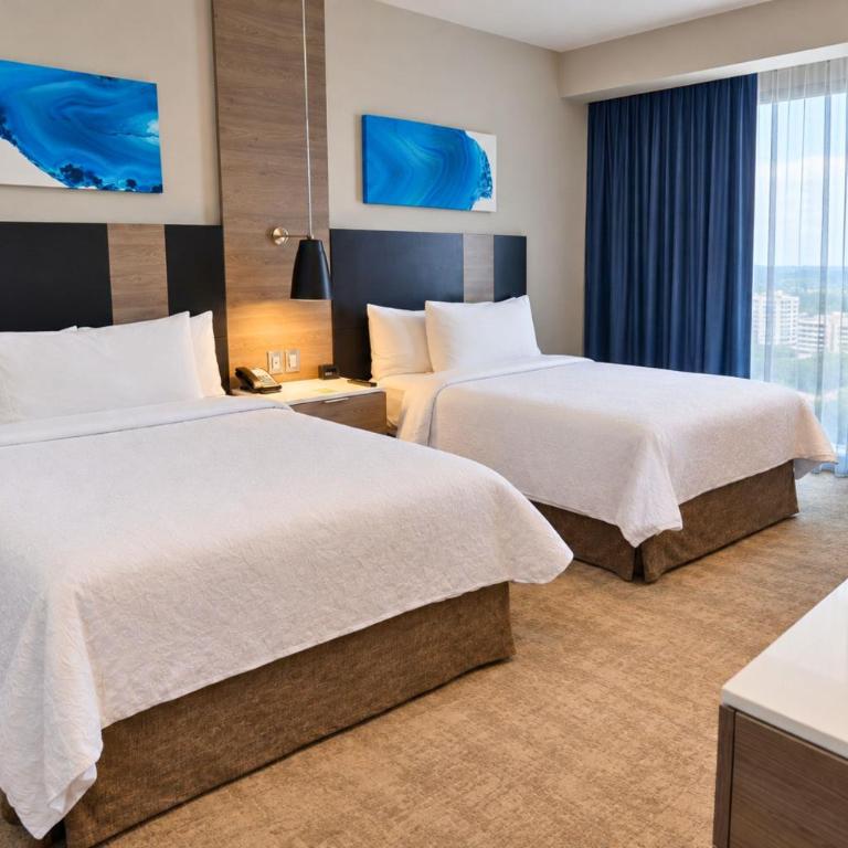 Hilton Garden Inn Mexico City Santa Fe - Habitación Doble - 2 camas dobles - 2