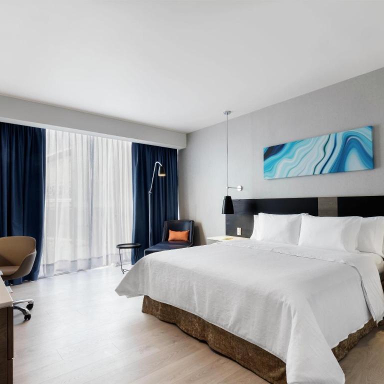 Hilton Garden Inn Mexico City Santa Fe - Suite de 1 dormitorio - 1 cama extragrande - 5