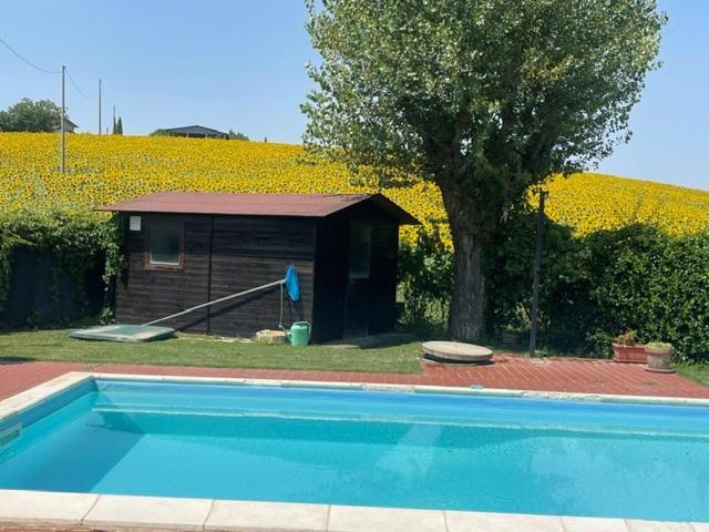 Casa Laura - Villa - 32