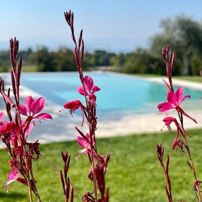 San Faustino Cottage - Appartamento con 1 Camera da Letto - 49
