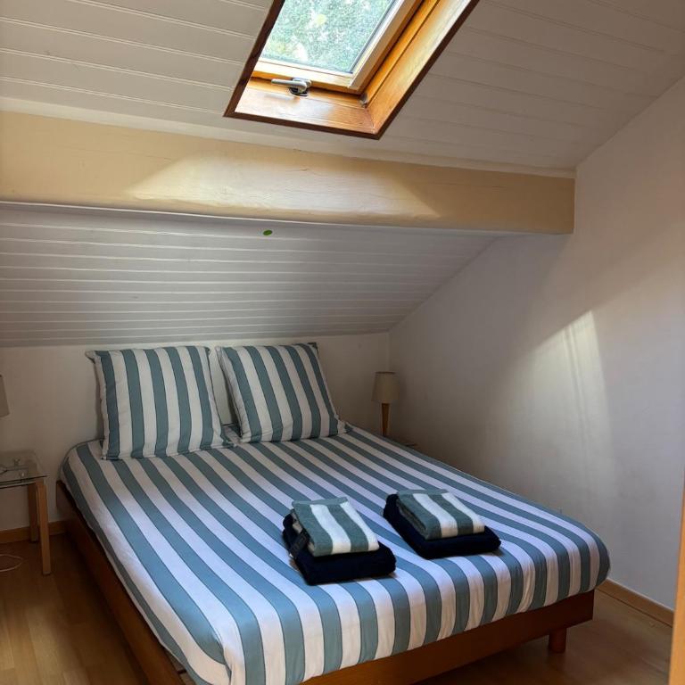 Appartement cosy au cœur d Arcachon - Appartamento con 1 Camera da Letto - 6